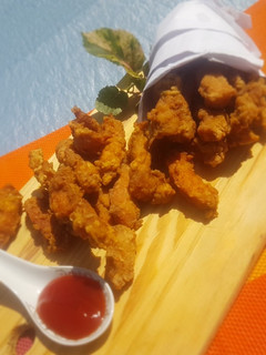 A picture of Crispy chicken fingers.