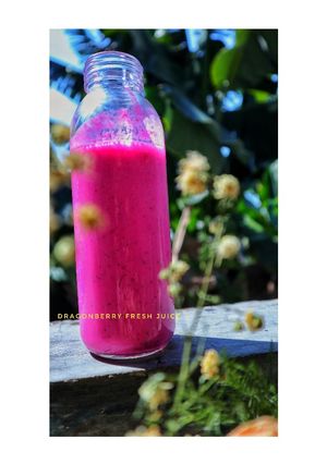 Foto resep DragonBerry Fresh Juice
