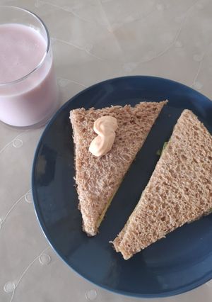 A picture of Mayo Sandwich 🥪.