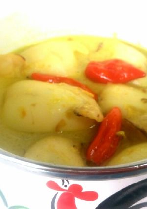Foto resep Gulai cumi isi