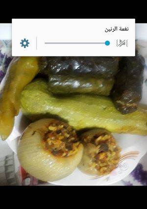 صورة لوصفة محاشي (براك، كوسا، فلفل، بصل)