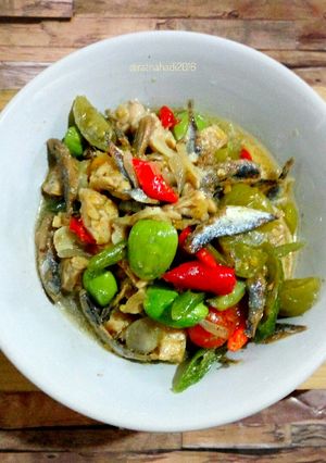 Foto resep Oseng ikan asin mandring
