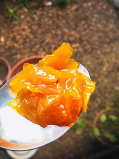 Una foto de Mermelada de naranja 🍊