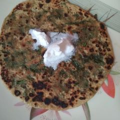 A picture of Palak paratha.
