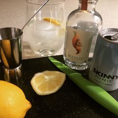 A picture of No Gin G&T.