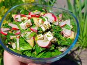 A picture of spinach radish