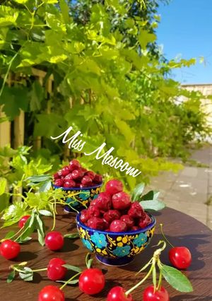 عکسی از دستور ترشک آلبالو