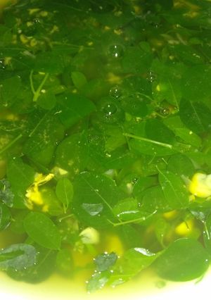 Foto resep Sayur daun kelor jagung manis