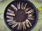 Una foto de chocos a la gallega