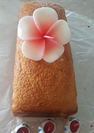 A picture of Coconut Milk Cake.