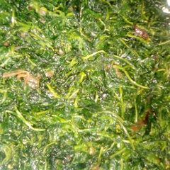 A picture of Managu.
