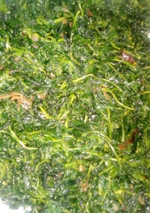 A picture of Managu.