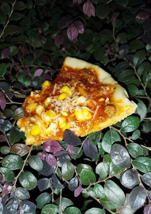 Foto resep Pizza Rumahan