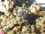 خورشت قرمه سبزی با رب انار