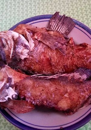 Foto resep Kerapu goreng