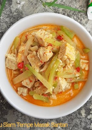Foto resep Labu Siam Tempe Masak Santan