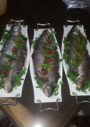 عکسی از دستور ماهی قزل شکم پر