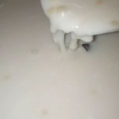 A picture of Rice,and coconut pap.