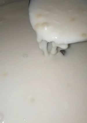 A picture of Rice,and coconut pap.