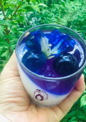 Hình của món Thạch dừa hoa đậu biếc.