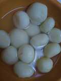 Bengali Rosogulla - Indian sweet