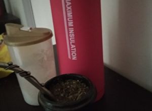 Una foto de Matecito : con hierbas, y áloe vera 🌵🍀🐾