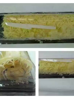 Foto resep Bolu Gulung Meranti KW