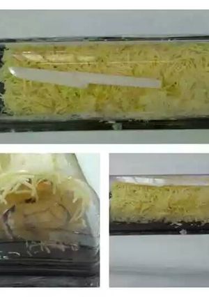 Foto resep Bolu Gulung Meranti KW