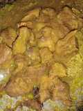 Tengkleng kambing