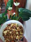 Arroz Chaufa Peruano