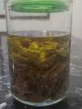 Conserva de berenjena