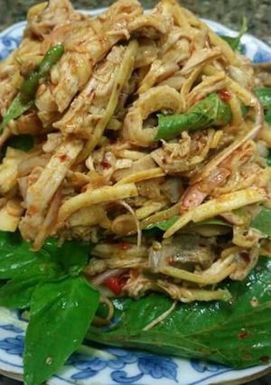 รูปของ ยำไก่