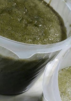 Foto resep Cingcau / cincau