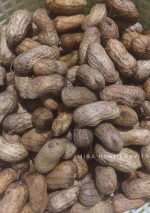 Foto resep Kacang Tanah Rebus