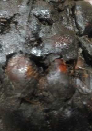 Foto resep Tips membersihkan lele agar tidak meledak ledak