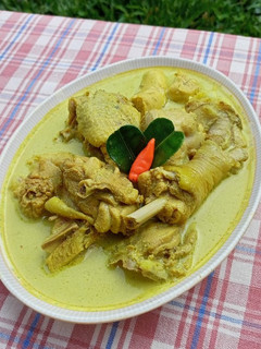 Foto resep Opor Ayam Kampung