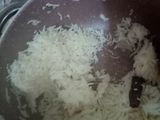 رز أبيض