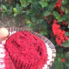 A picture of Strawberry cupcakes.