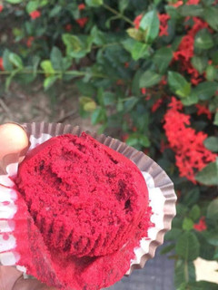 A picture of Strawberry cupcakes.
