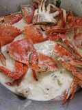 Creamy Crab