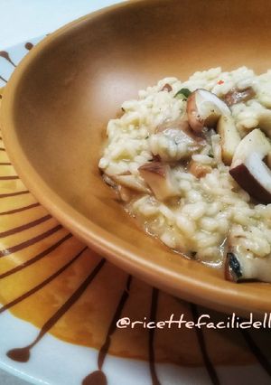 A picture of Porcini Mushroom Risotto.