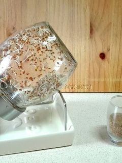 Una foto de Germinados o brotes caseros