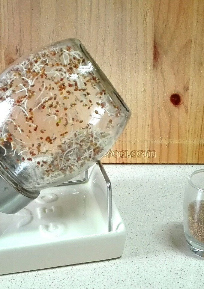 Una foto de Germinados o brotes caseros