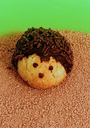 Foto principal de Erizos de galleta