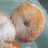 Rosquitas