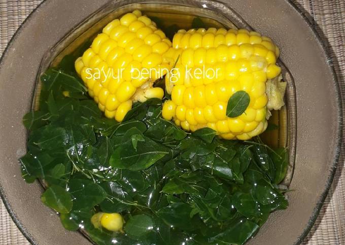 Resep Sayur Bening Daun Kelor Oleh Dina Khansa Cookpad