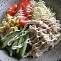 A picture of Salad Udon.