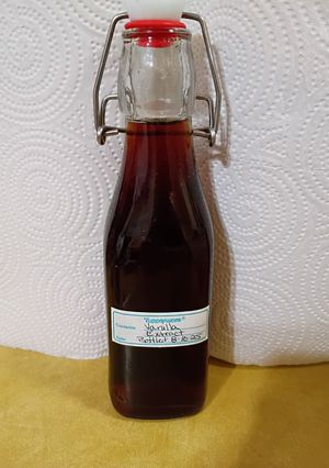 A picture of Old Fashioned Homemade Vanilla Extract (A Slow Food Recipe).