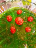 Jello Fun