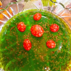 A picture of Jello Fun.